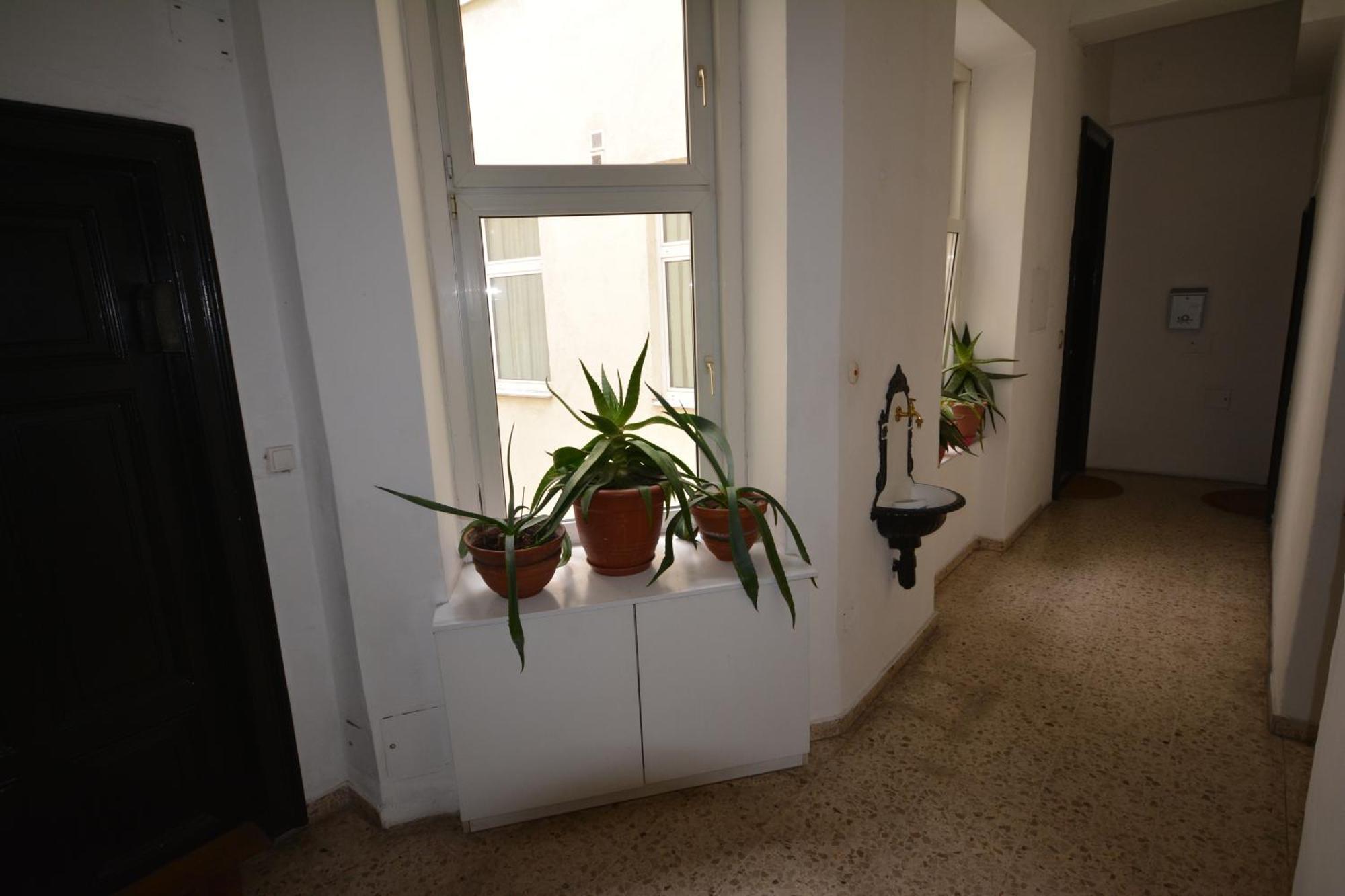 Vienna Holiday Apartments Екстериор снимка